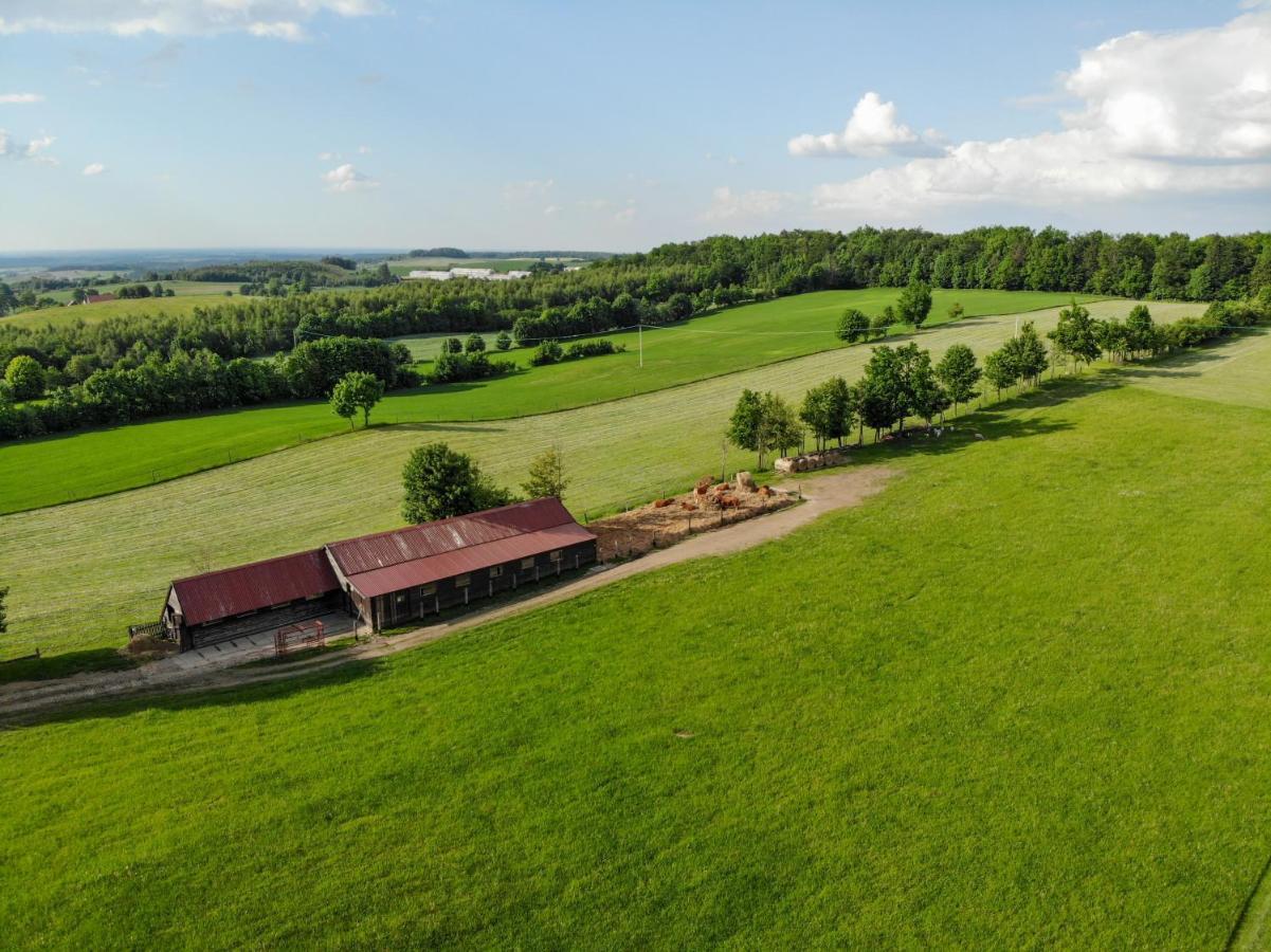 Villa Dylewianka Wysoka Wieś Exterior foto