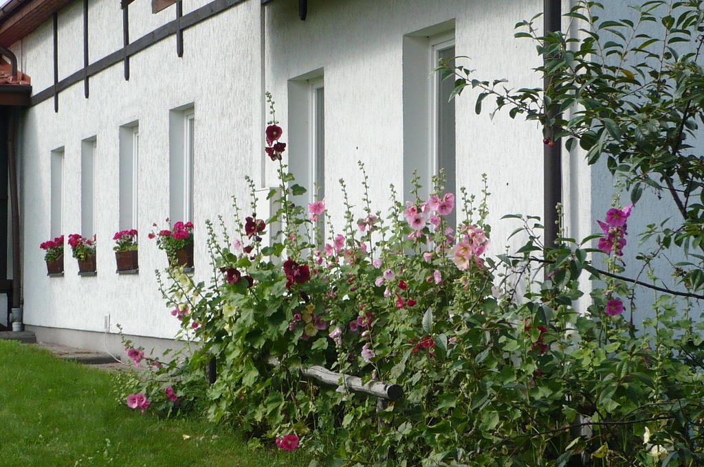 Villa Dylewianka Wysoka Wieś Exterior foto
